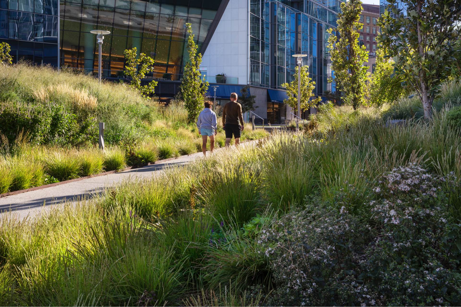 Two individuals enjoying a peaceful walk along a lush garden path in an urban park with modern architecture in the background.